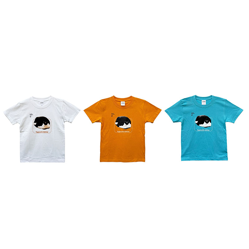 Tシャツ 子ども　3カラー