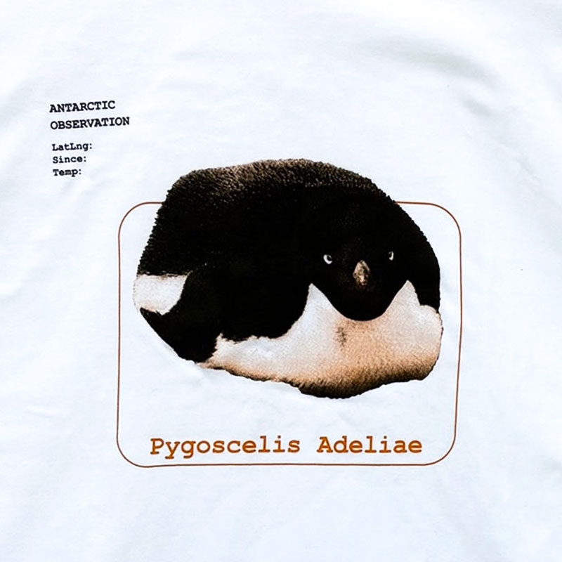 Tシャツ 柄
