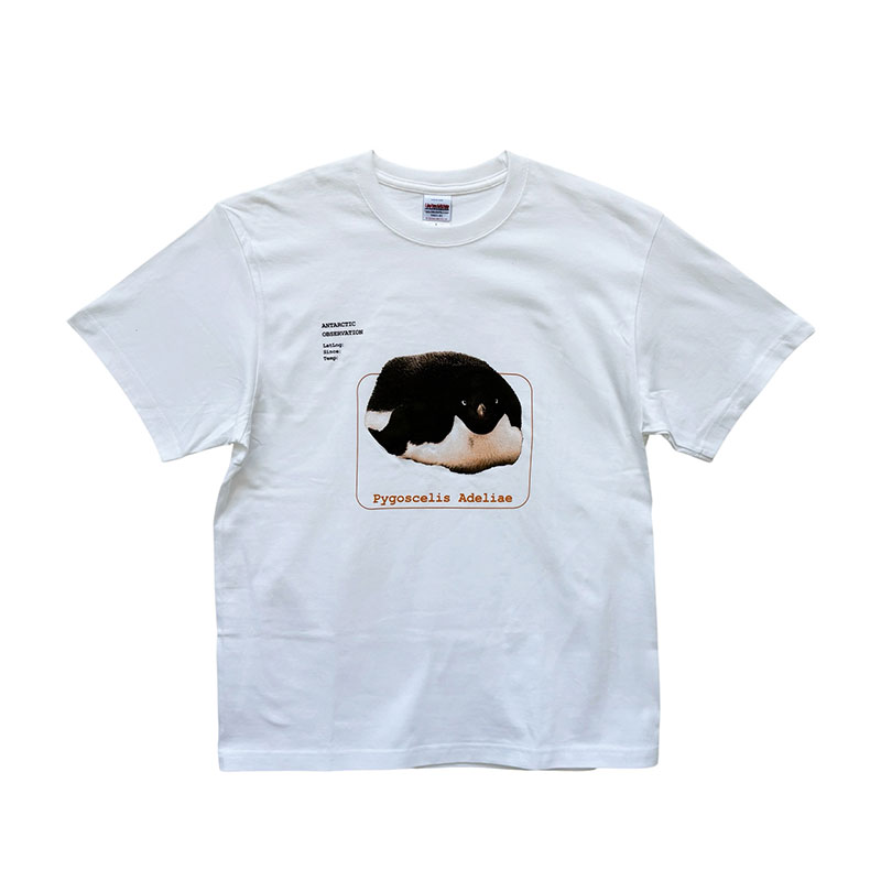 Tシャツ　白