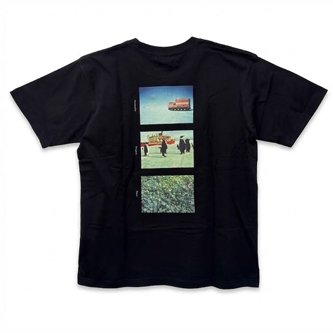 南極風景Tシャツ　後ろ