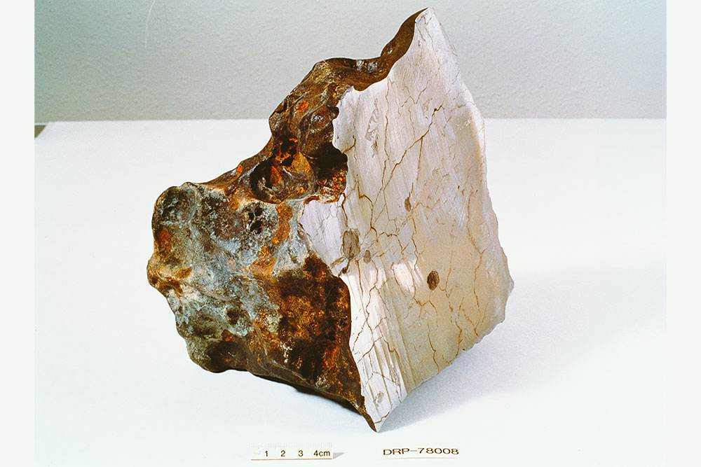 南極で採取された鉄隕石