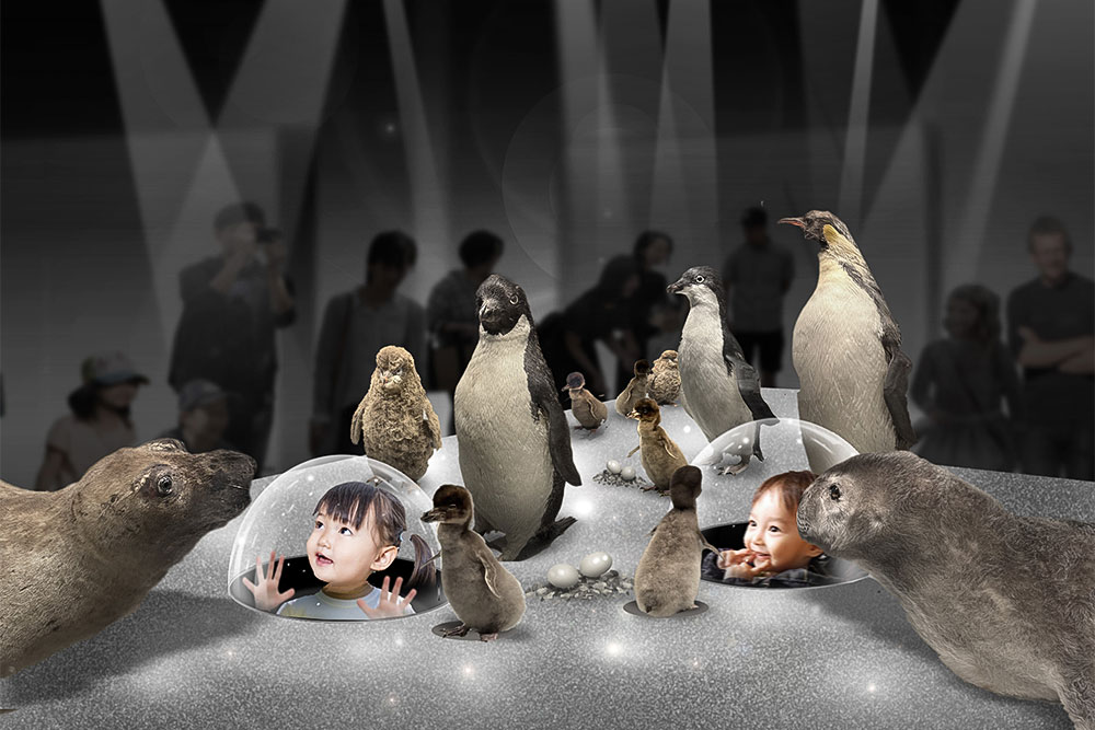 （イメージ画像）