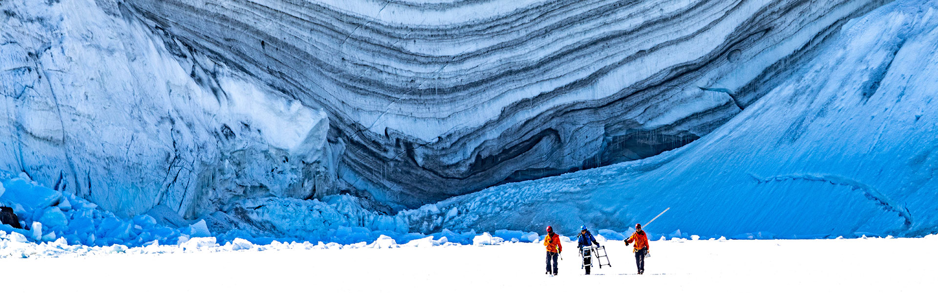 この夏、東京に南極がやってくる　南極観測70周年記念 特別展大南極展