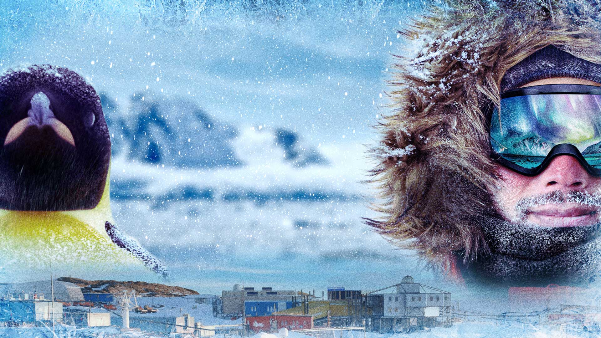 この夏、東京に南極がやってくる　南極観測70周年記念 特別展大南極展